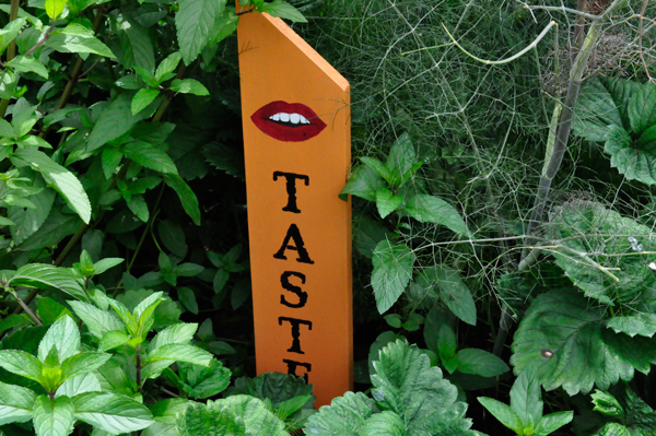 The Taste Garden